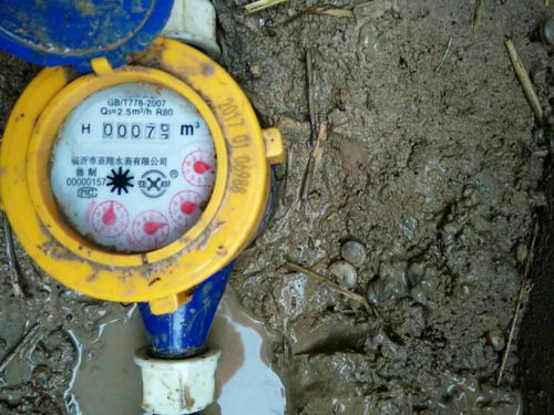 如何正確讀取水表，精準(zhǔn)掌握家庭用水量