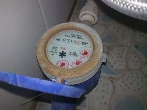 老師傅把前置過濾器裝在屋外，開始并不明白，一問才知好處這么多